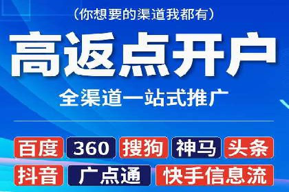 抖音信息流代理在电商行业的应用案例分析